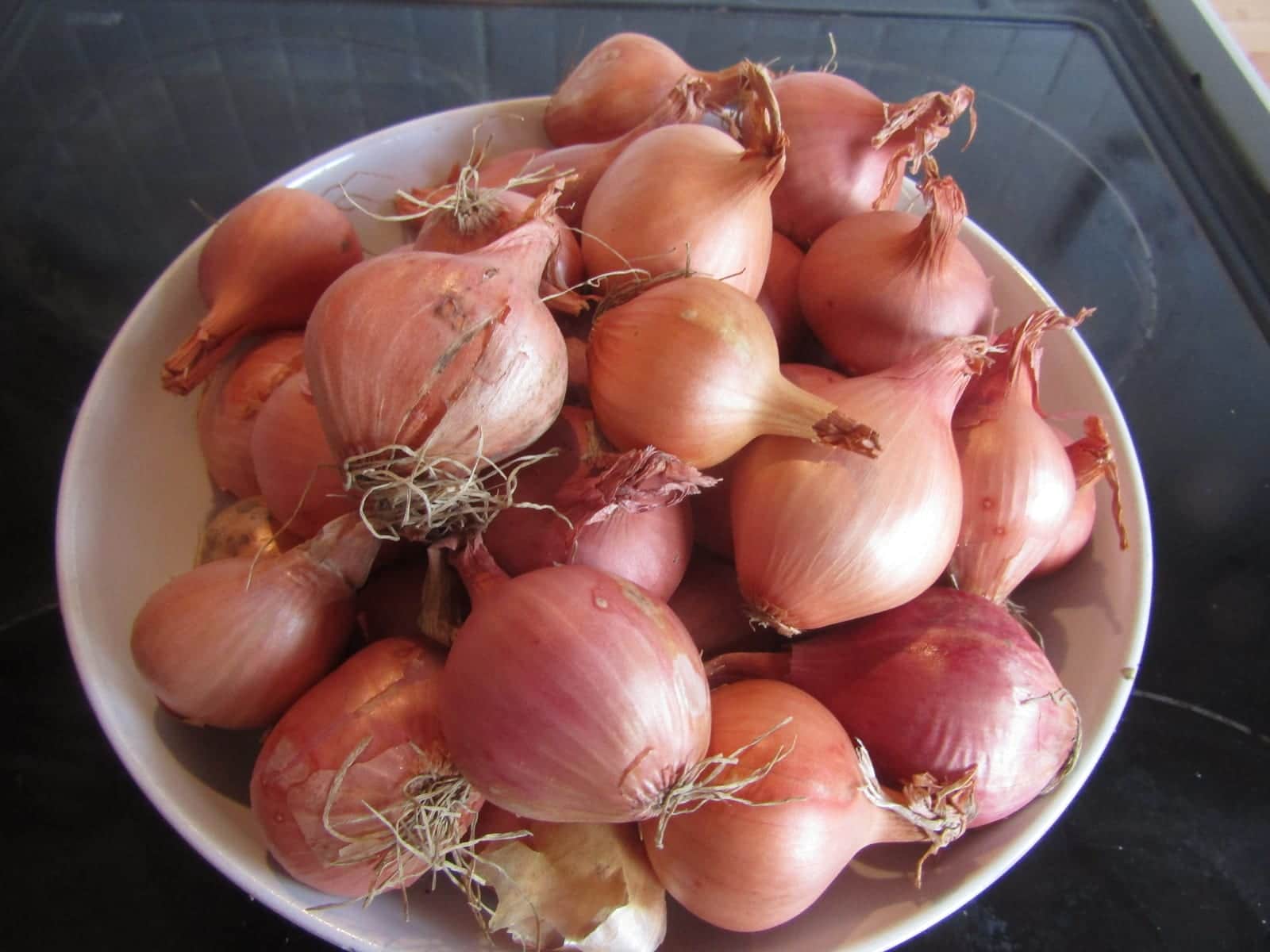 Yellow Onion