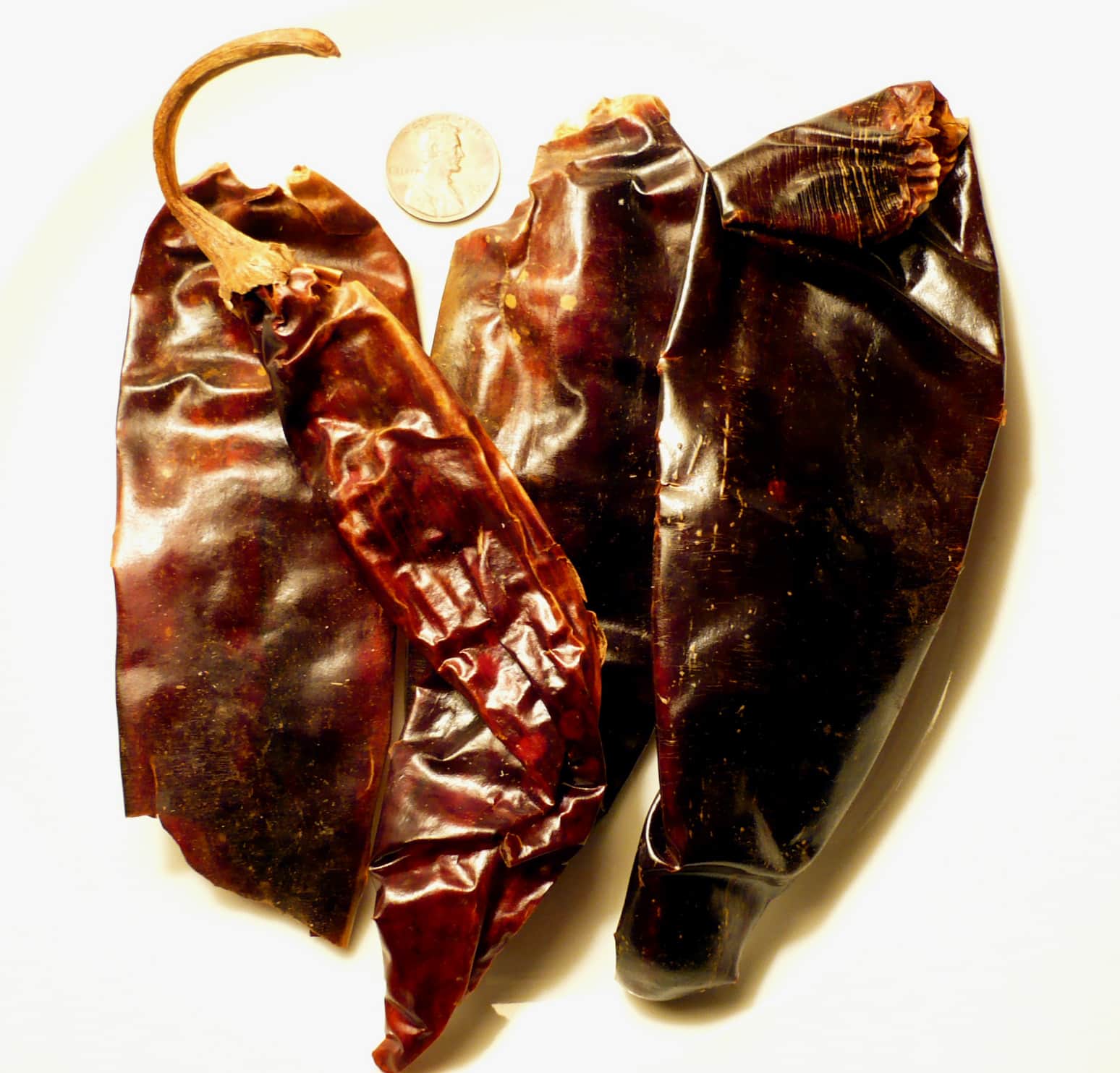Guajillo Chile