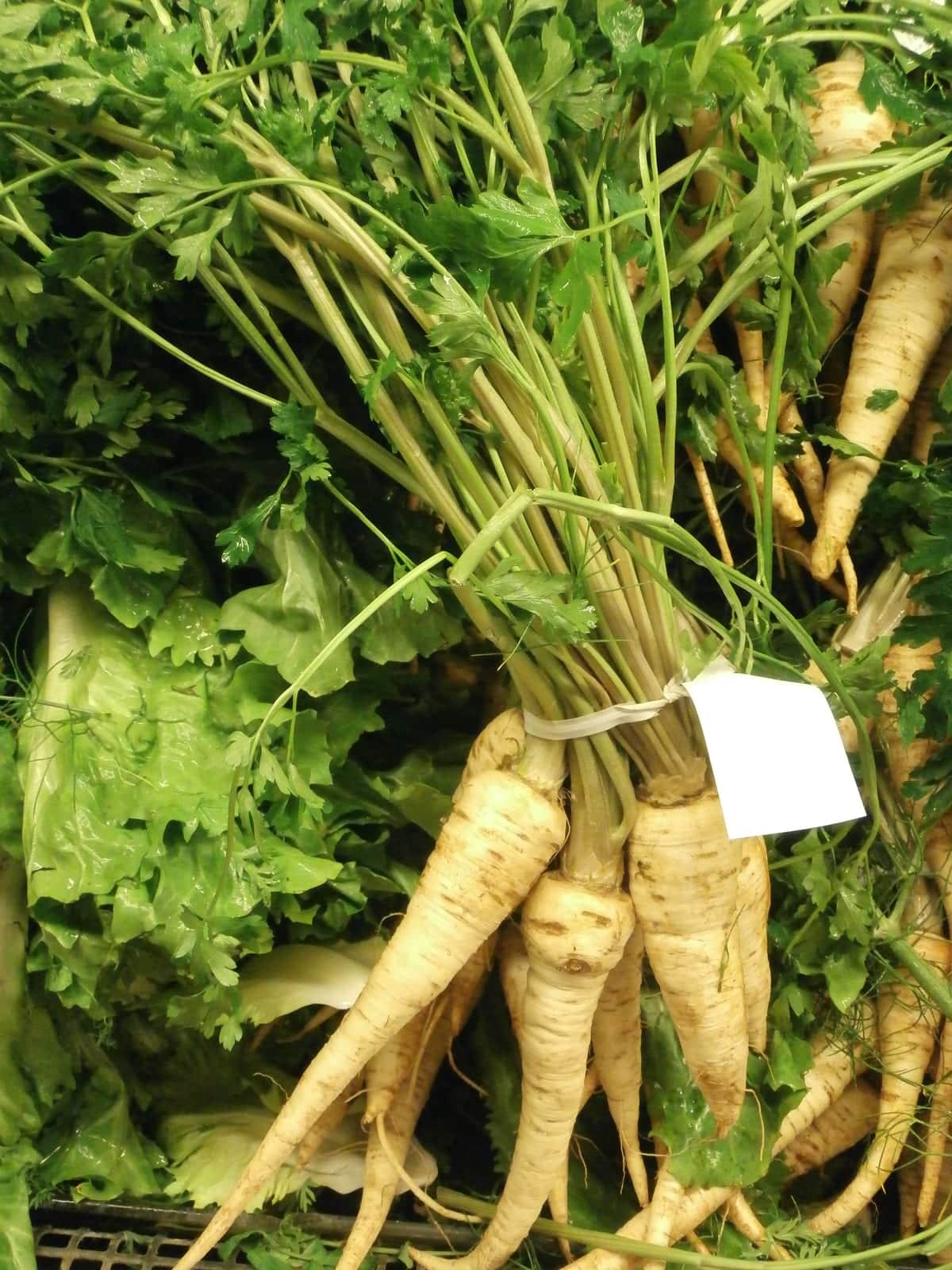 Parsnip