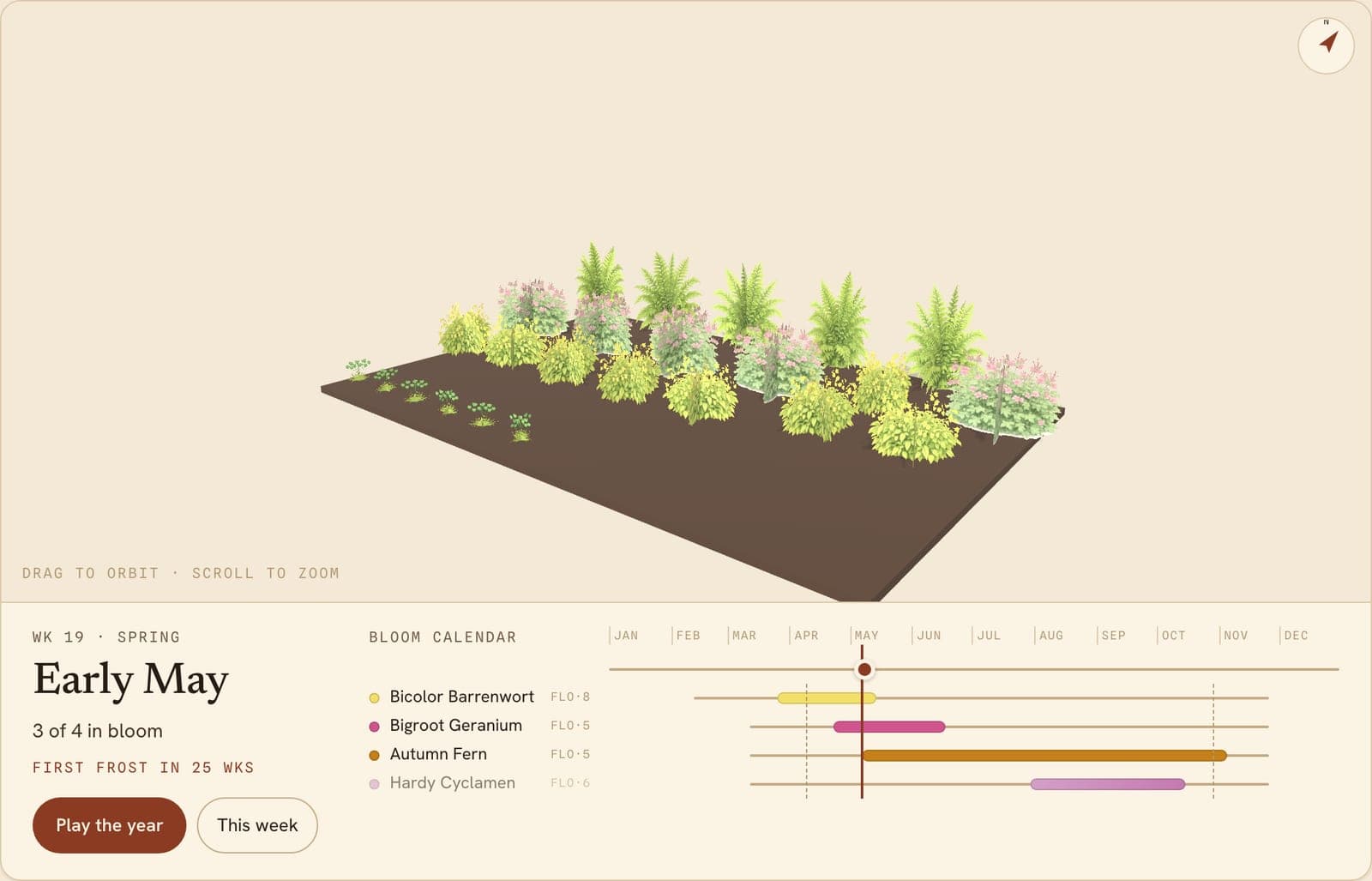 Beautiful Dry Shade, a 3D preview of the planted bed