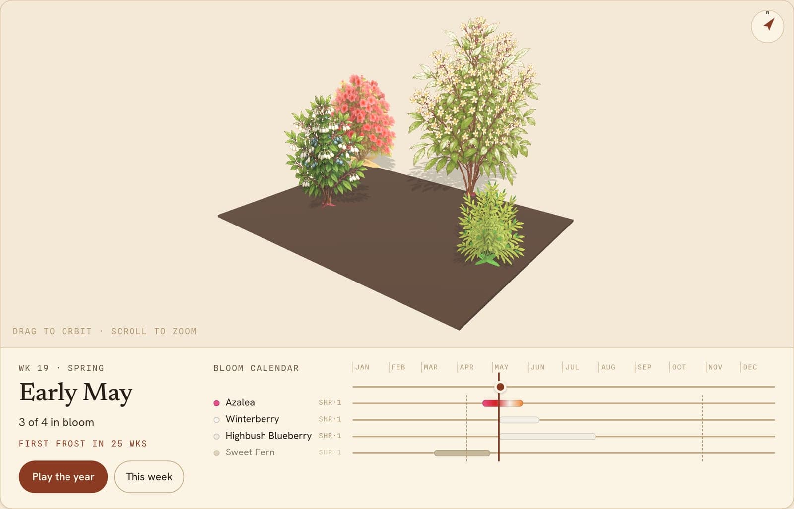 Blueberry and Acidic Lovers, a 3D preview of the planted bed