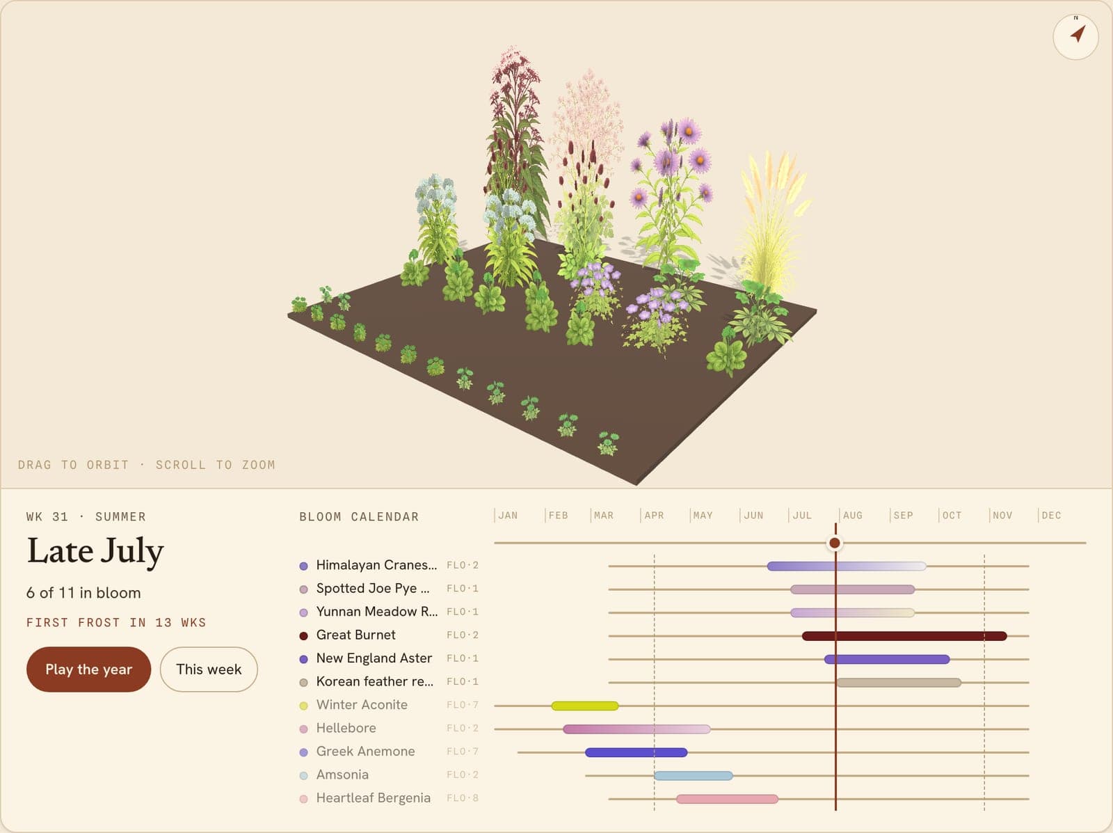Burnet and Aster Border, a 3D preview of the planted bed