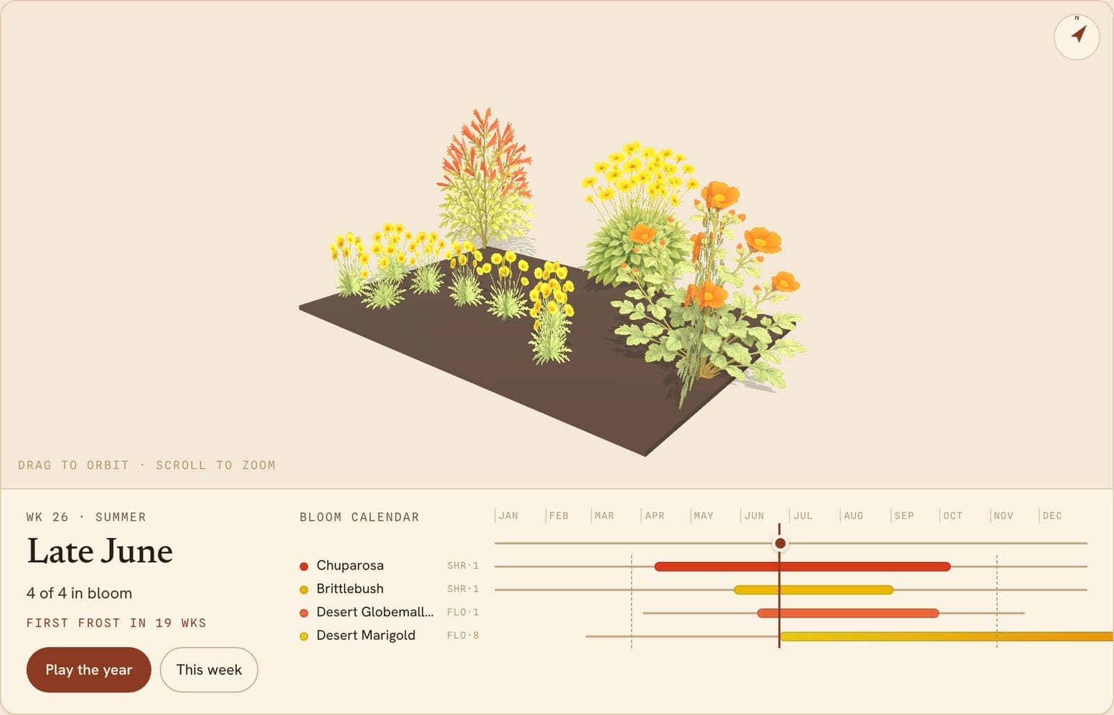 Desert Marigolds, Globemallows, Chuparosas & More Border, a 3D preview of the planted bed