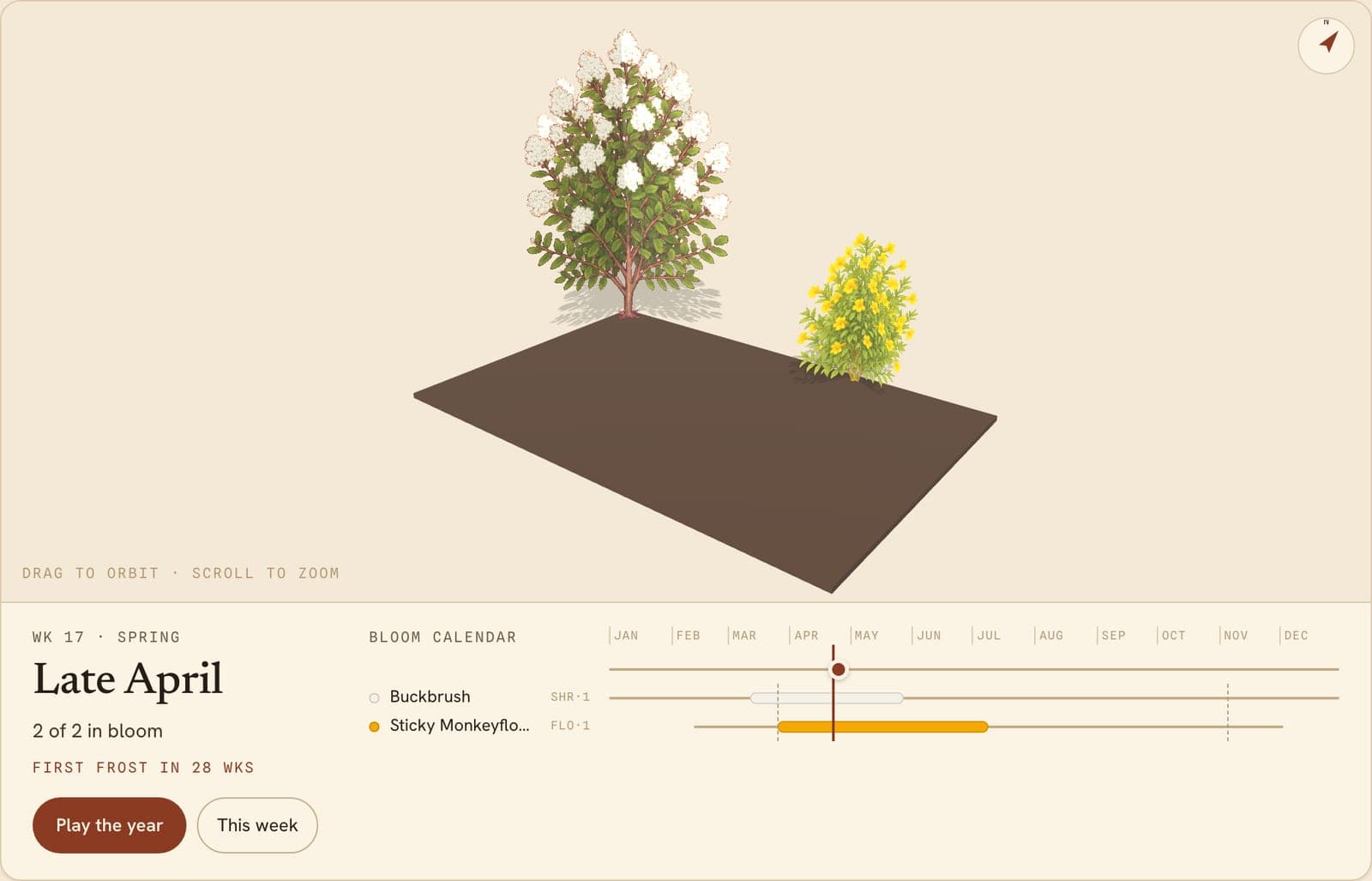 California Lilacs, Manzanitas, Toyon & More Border, a 3D preview of the planted bed