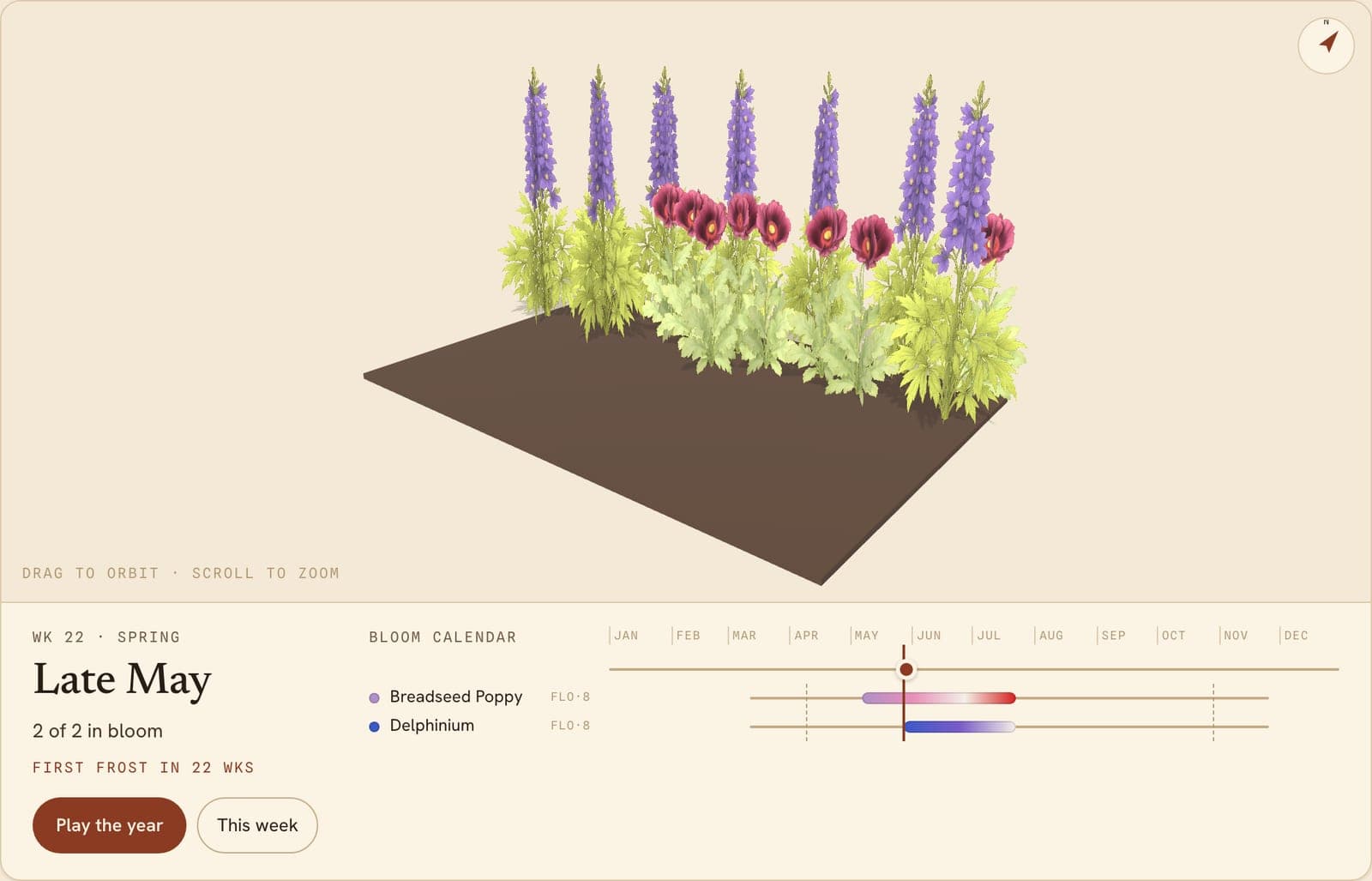 Delphiniums, Poppies Border, a 3D preview of the planted bed