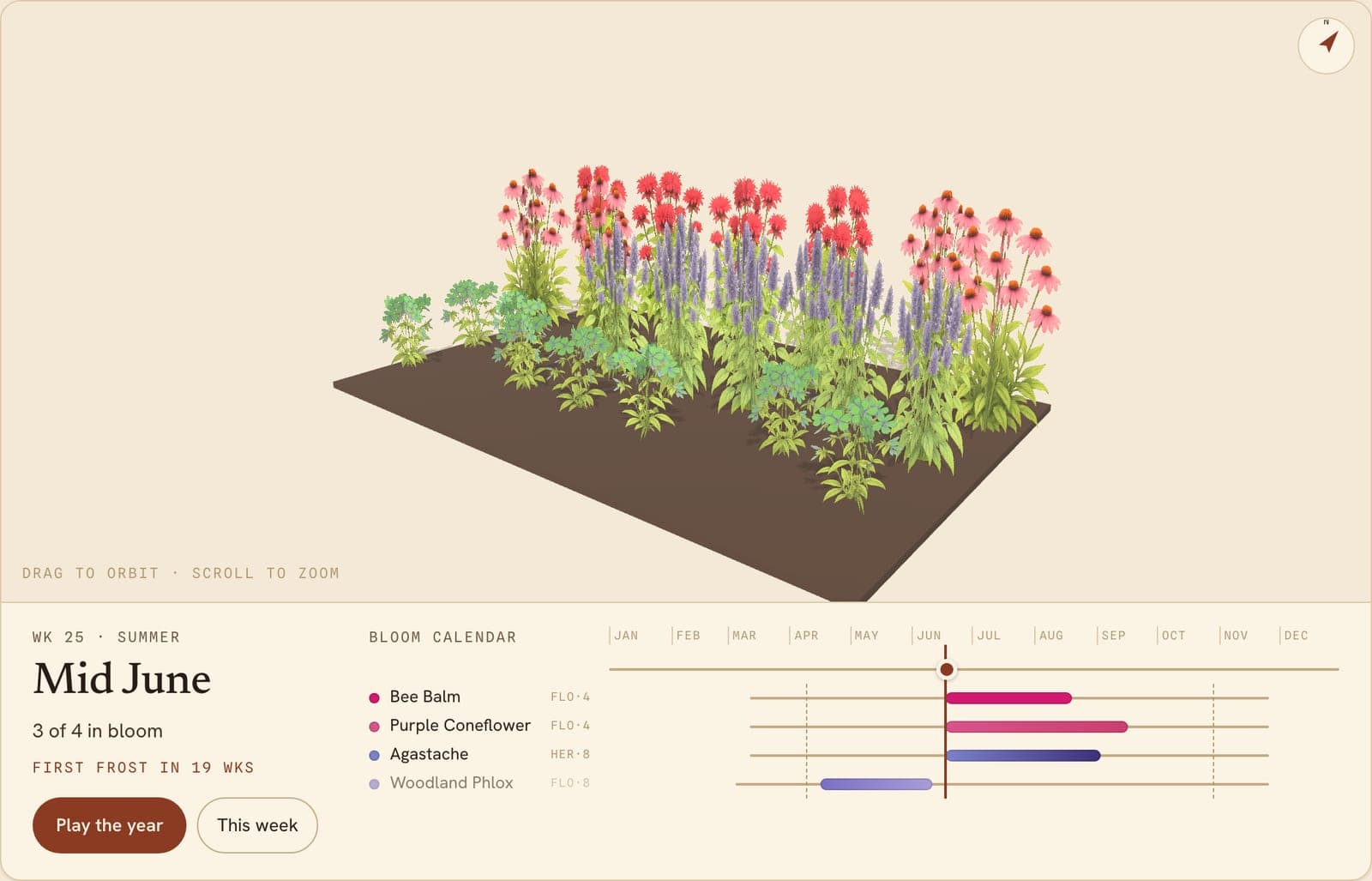 Coneflowers, Bee Balms, Hyssops & More Border, a 3D preview of the planted bed