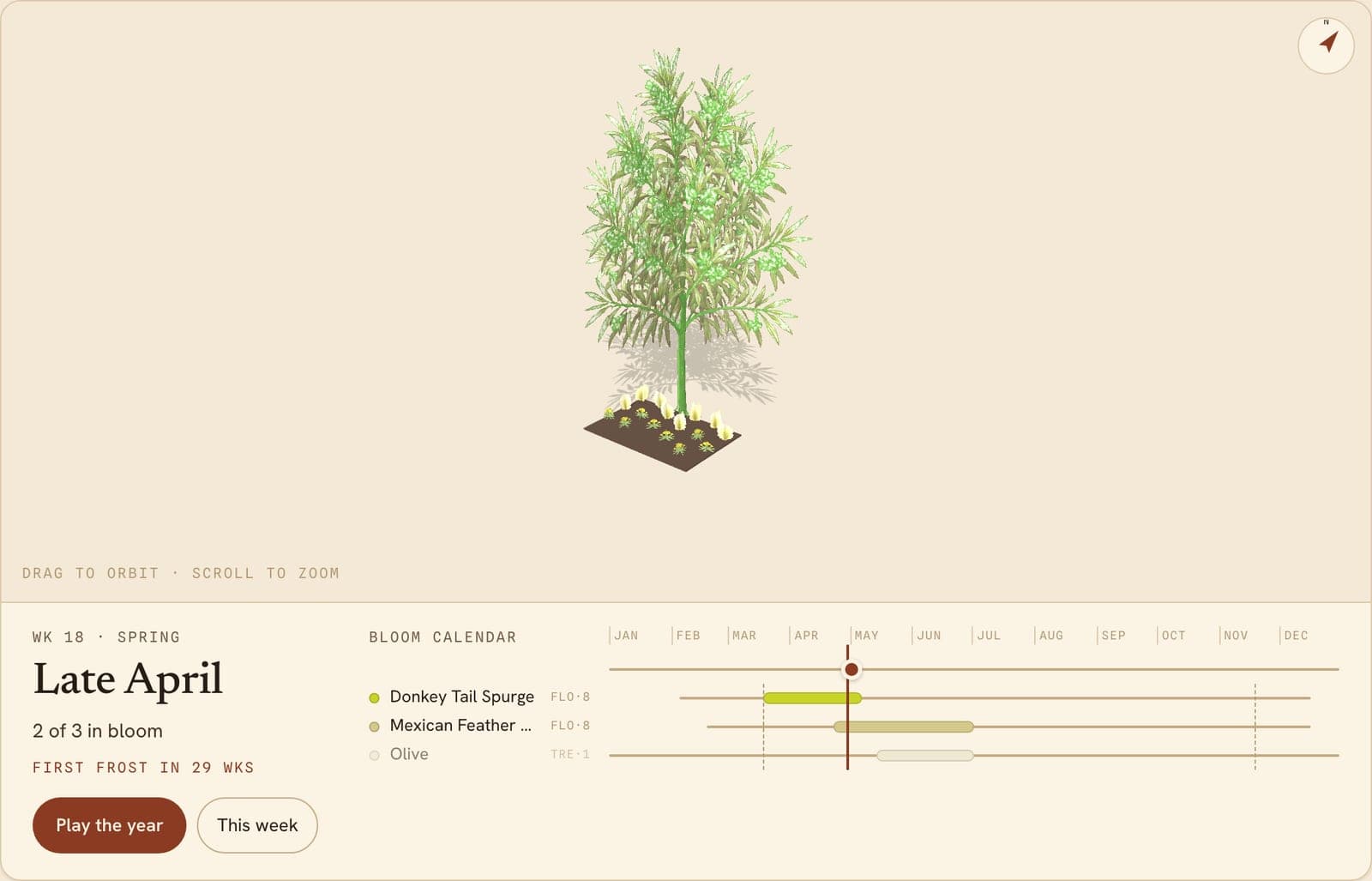 Spurges, Needlegrasses, Olives Border, a 3D preview of the planted bed