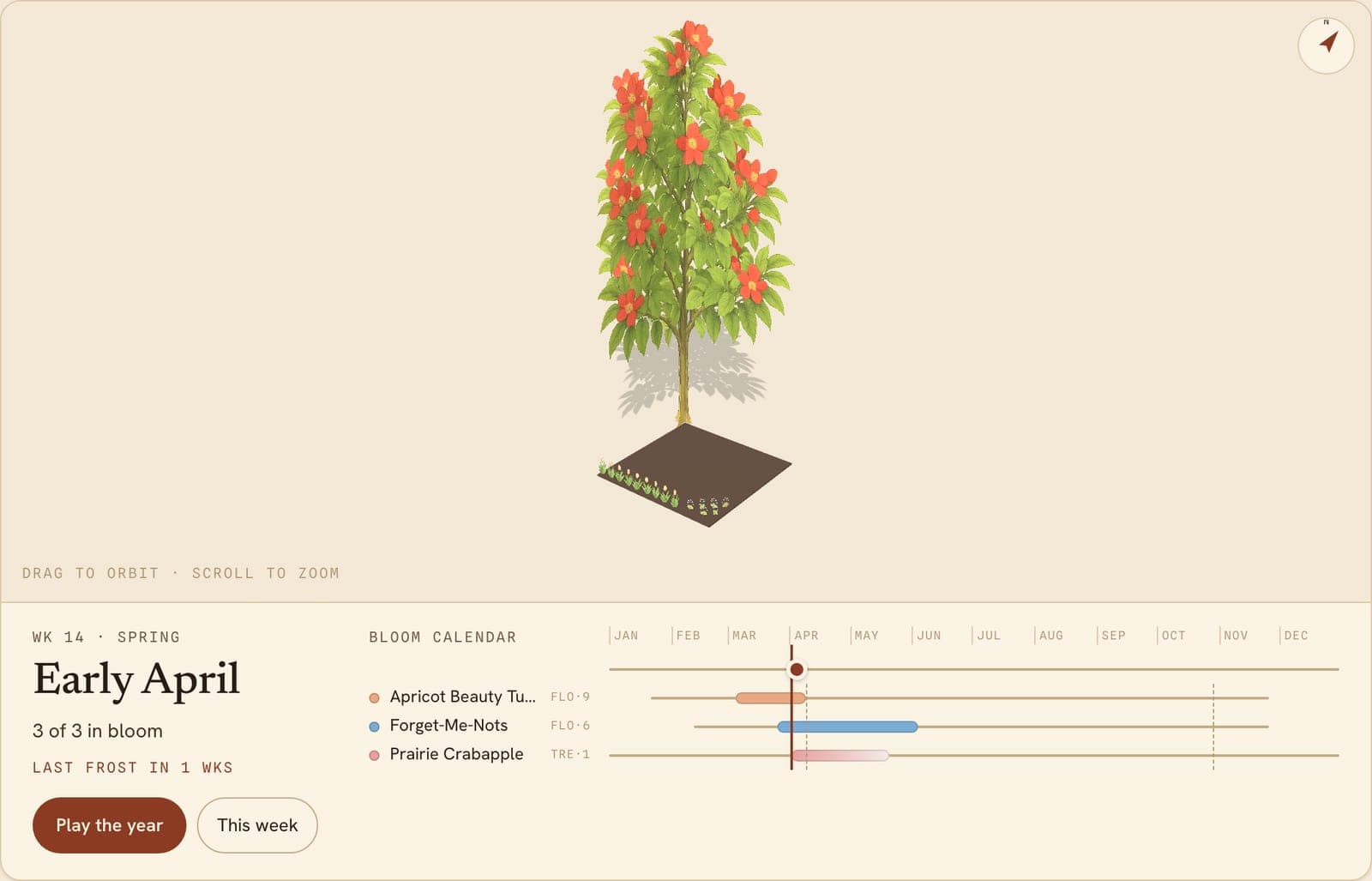 Crabapple, Tulips & Forget-Me-Nots, a 3D preview of the planted bed