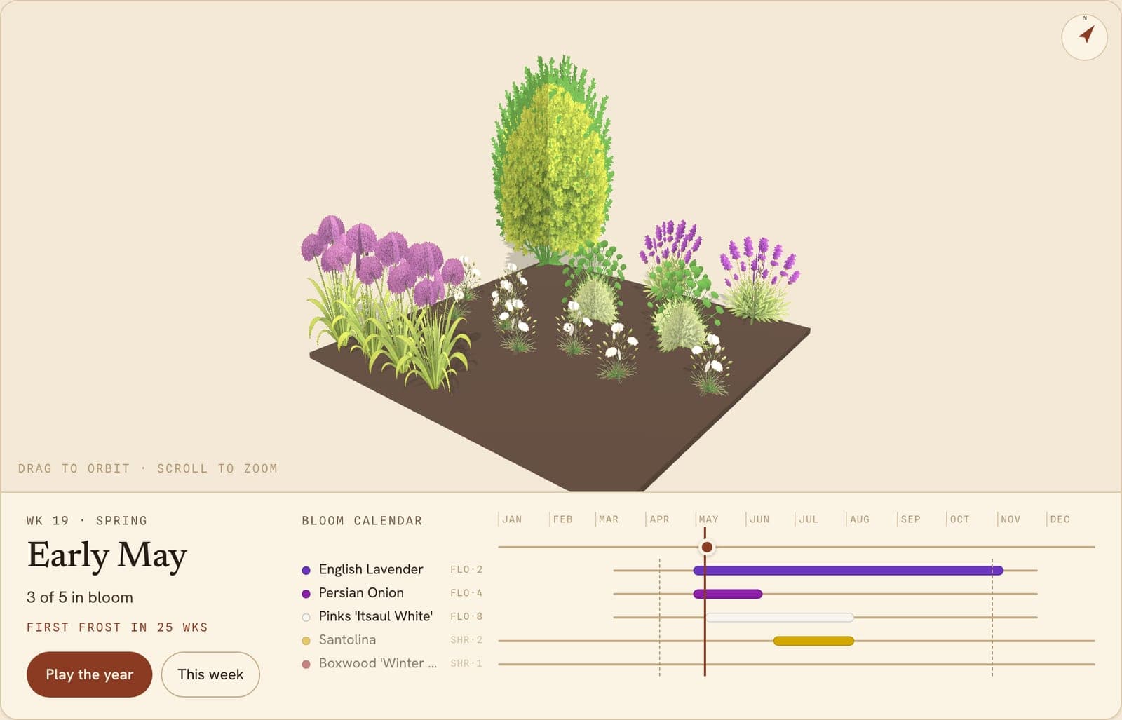 Formal Boxwood & Lavender Bed, a 3D preview of the planted bed