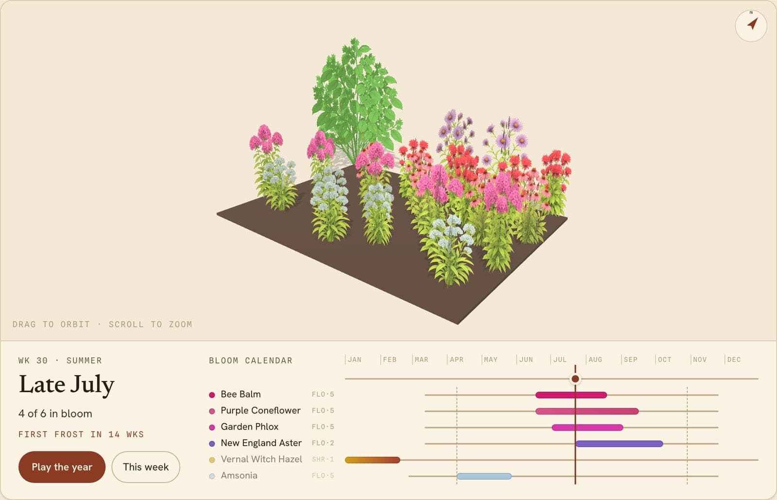 Four-Season Native Border, a 3D preview of the planted bed