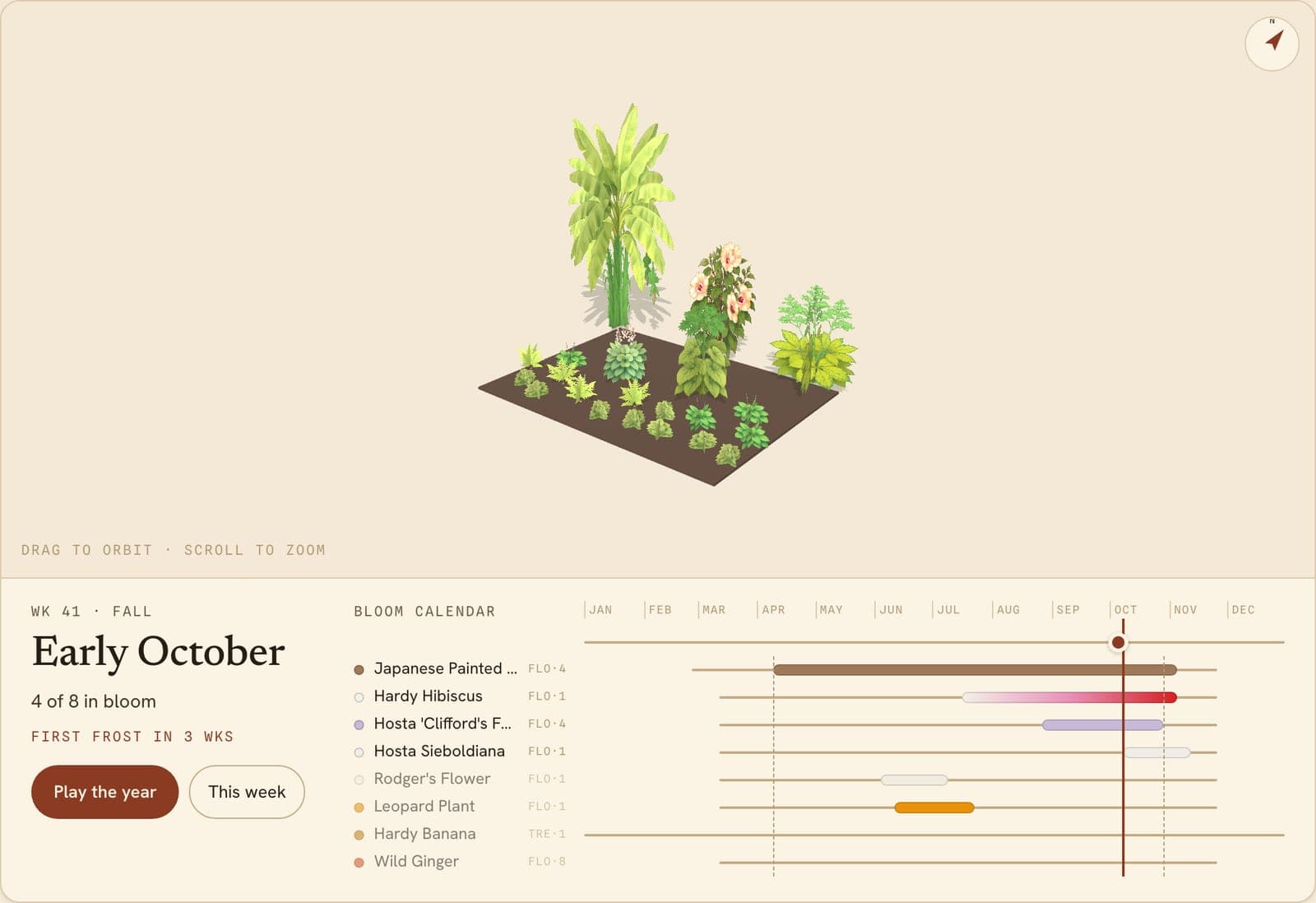 Hardy Jungle Bed, a 3D preview of the planted bed