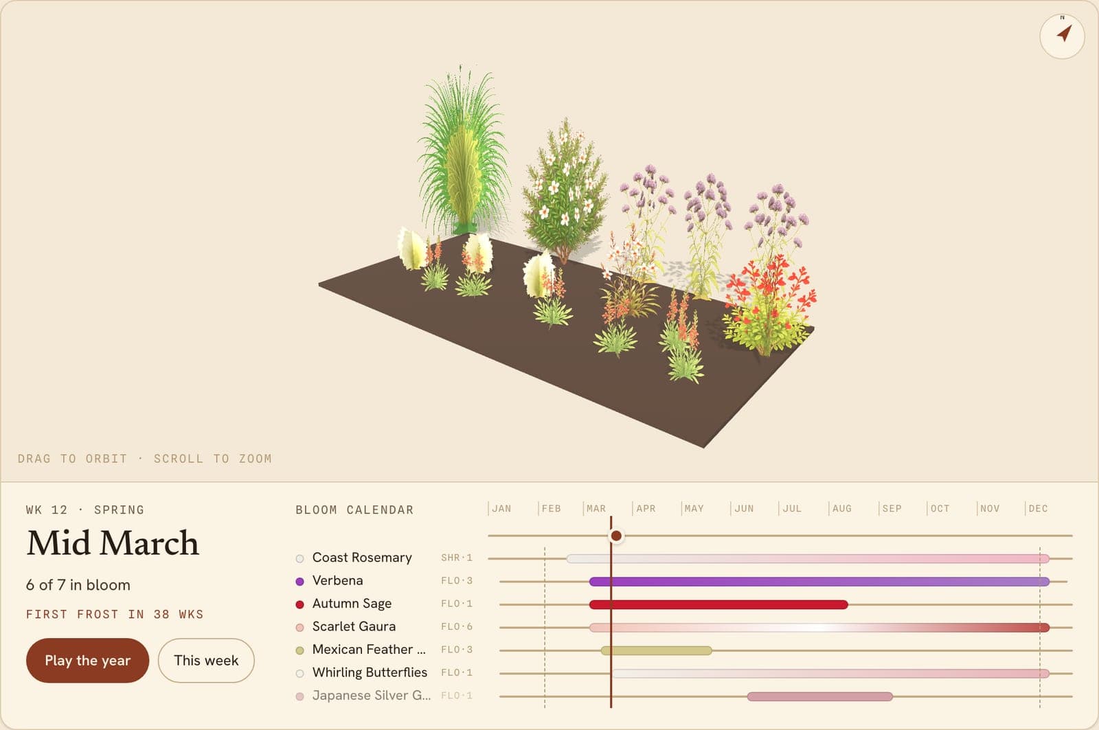 Salvia, Westringia & Feather Grass Drift, a 3D preview of the planted bed