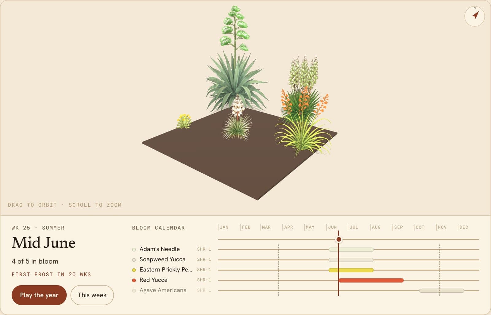 Xeriscape Low-Water Bed, a 3D preview of the planted bed