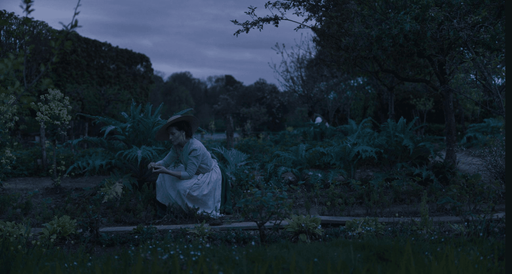 The garden in the film