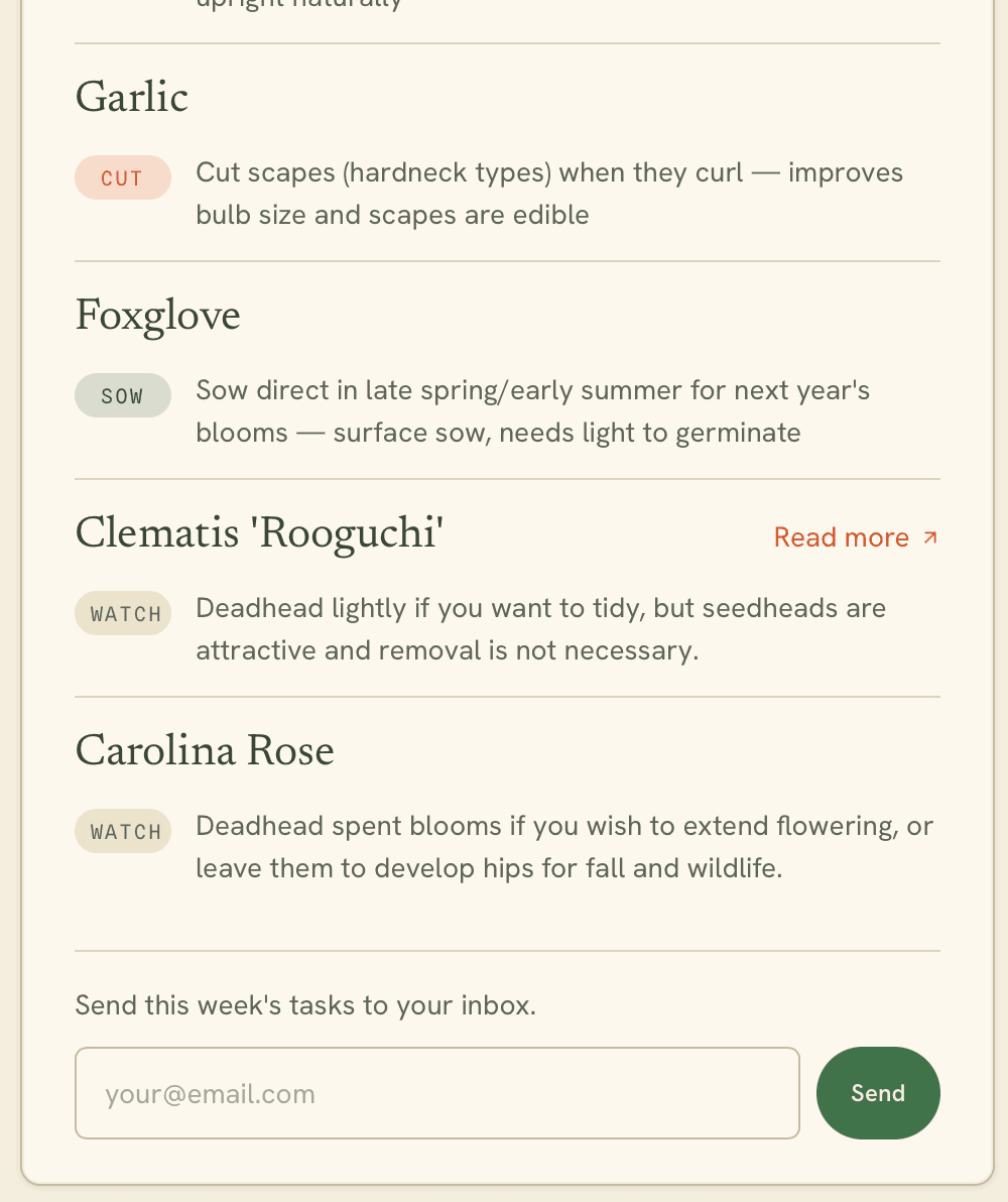 This week task list
