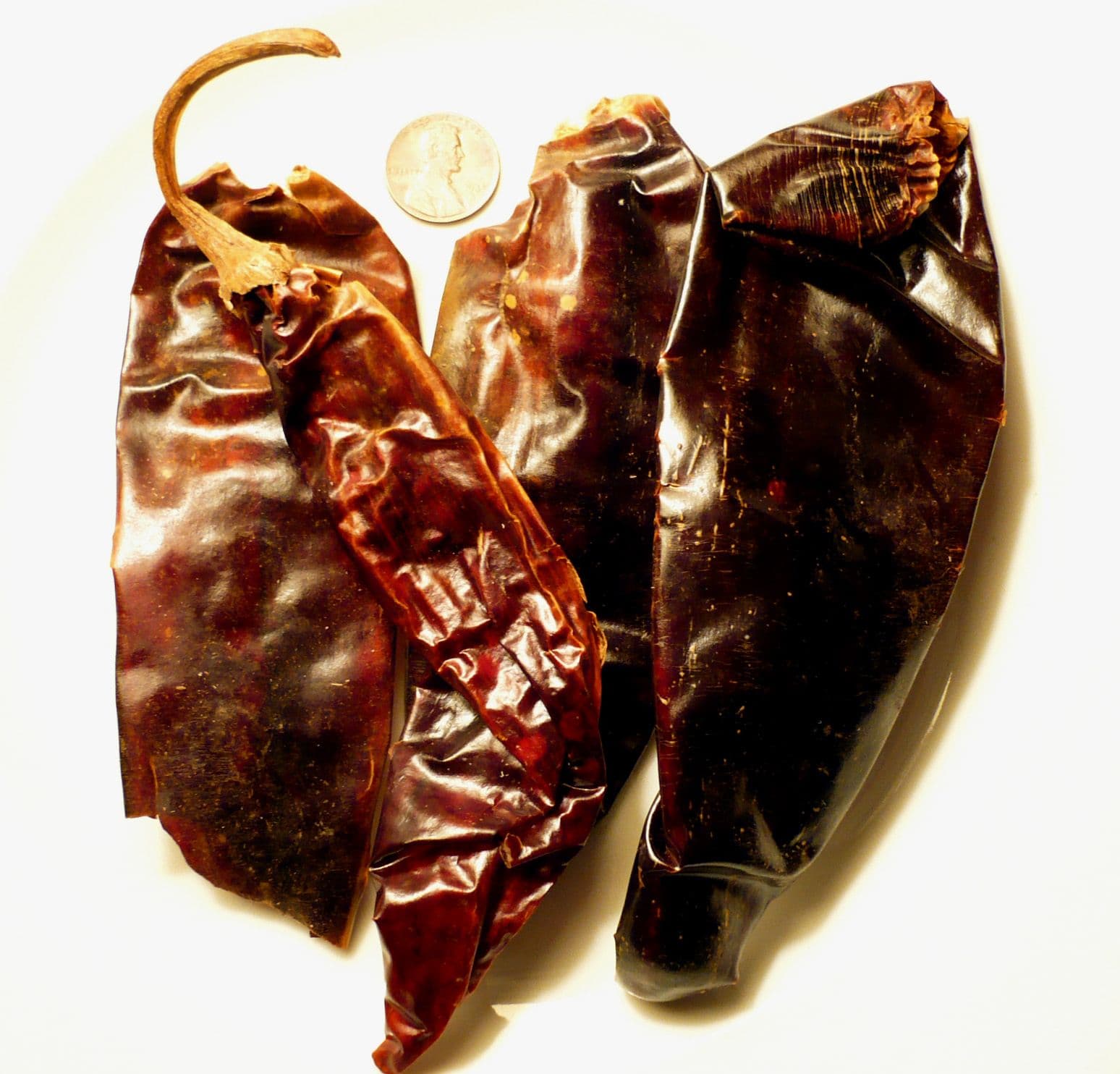 Guajillo Chile