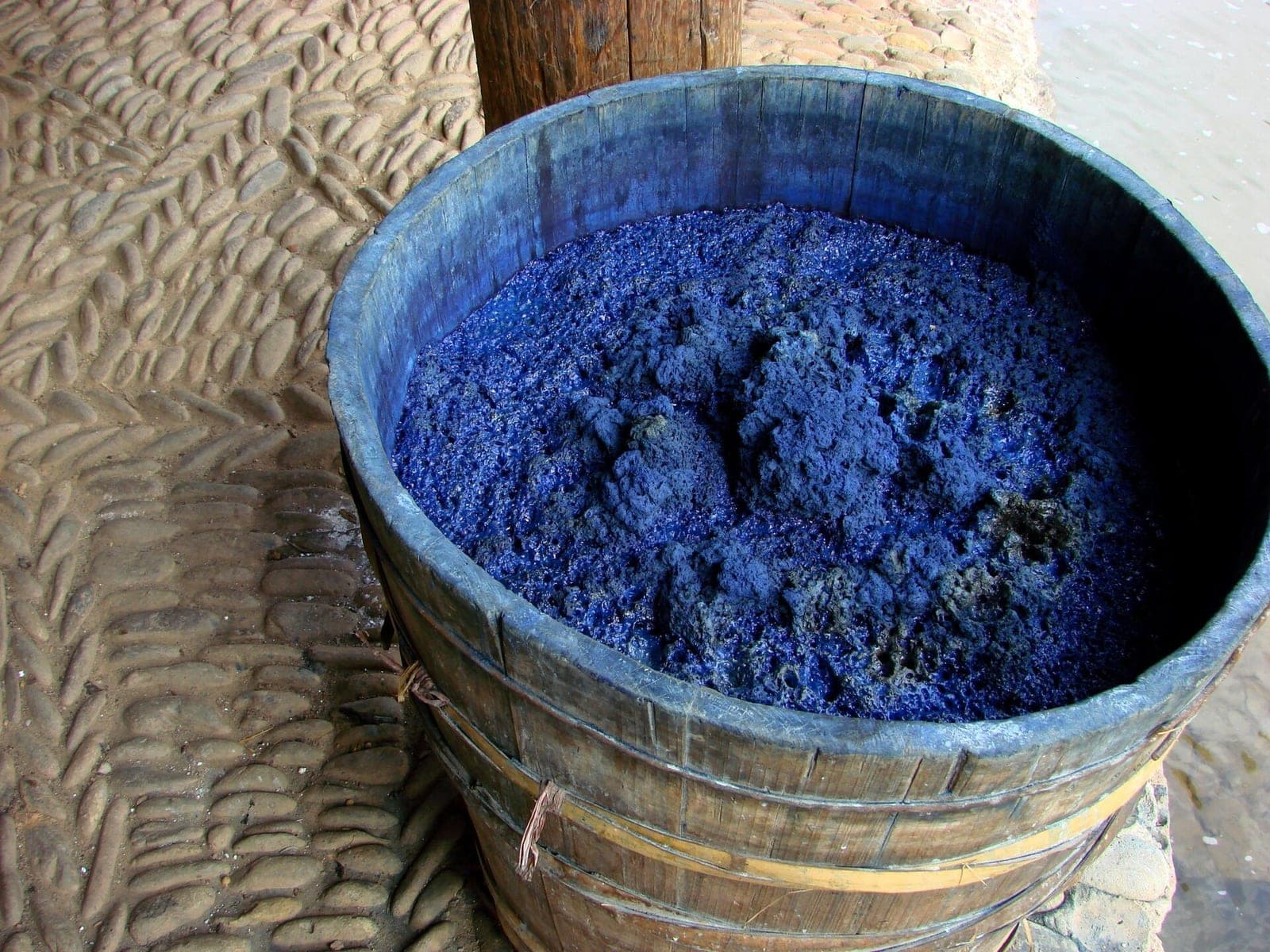 Japanese Indigo