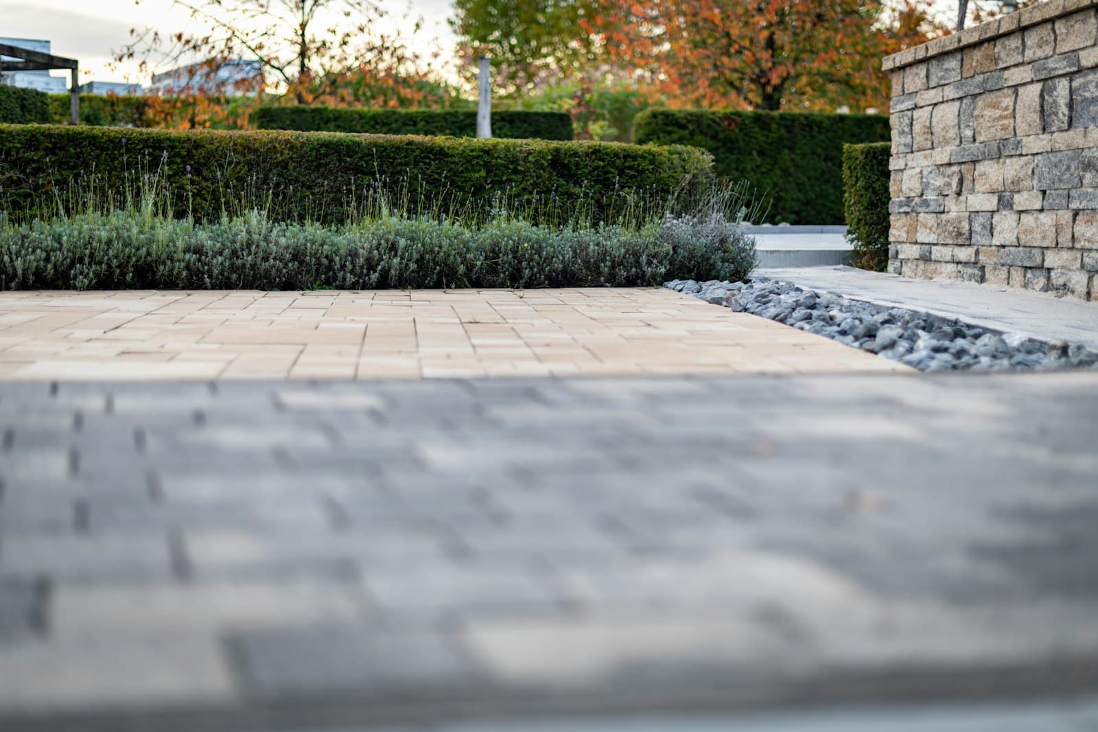 A neatly clipped hedge with a mixed lavender-toned border along a stone paver path beside a stacked-stone wall