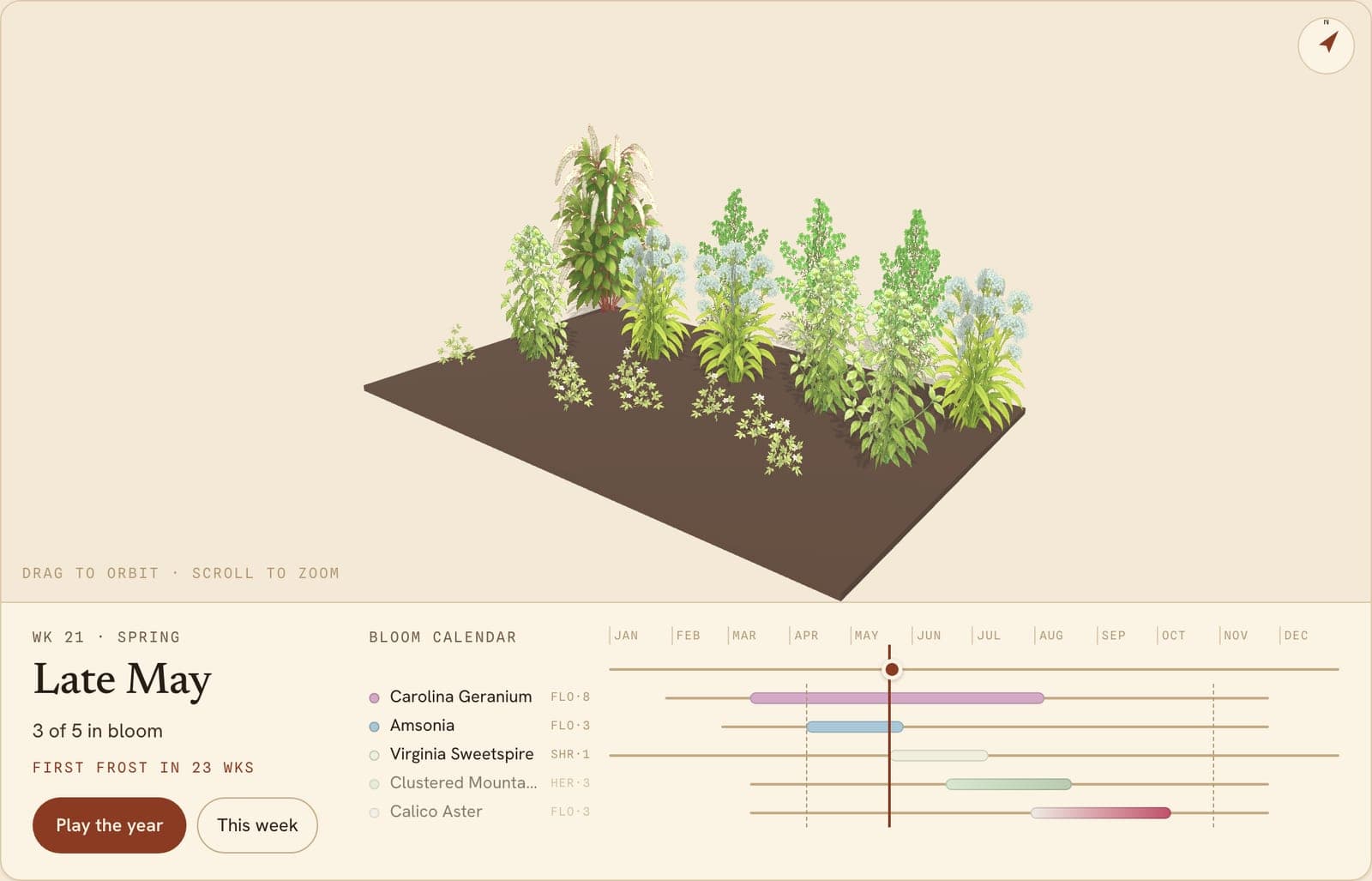 Bluestars, Asters, Sweetspire & More Border, a 3D preview of the planted bed