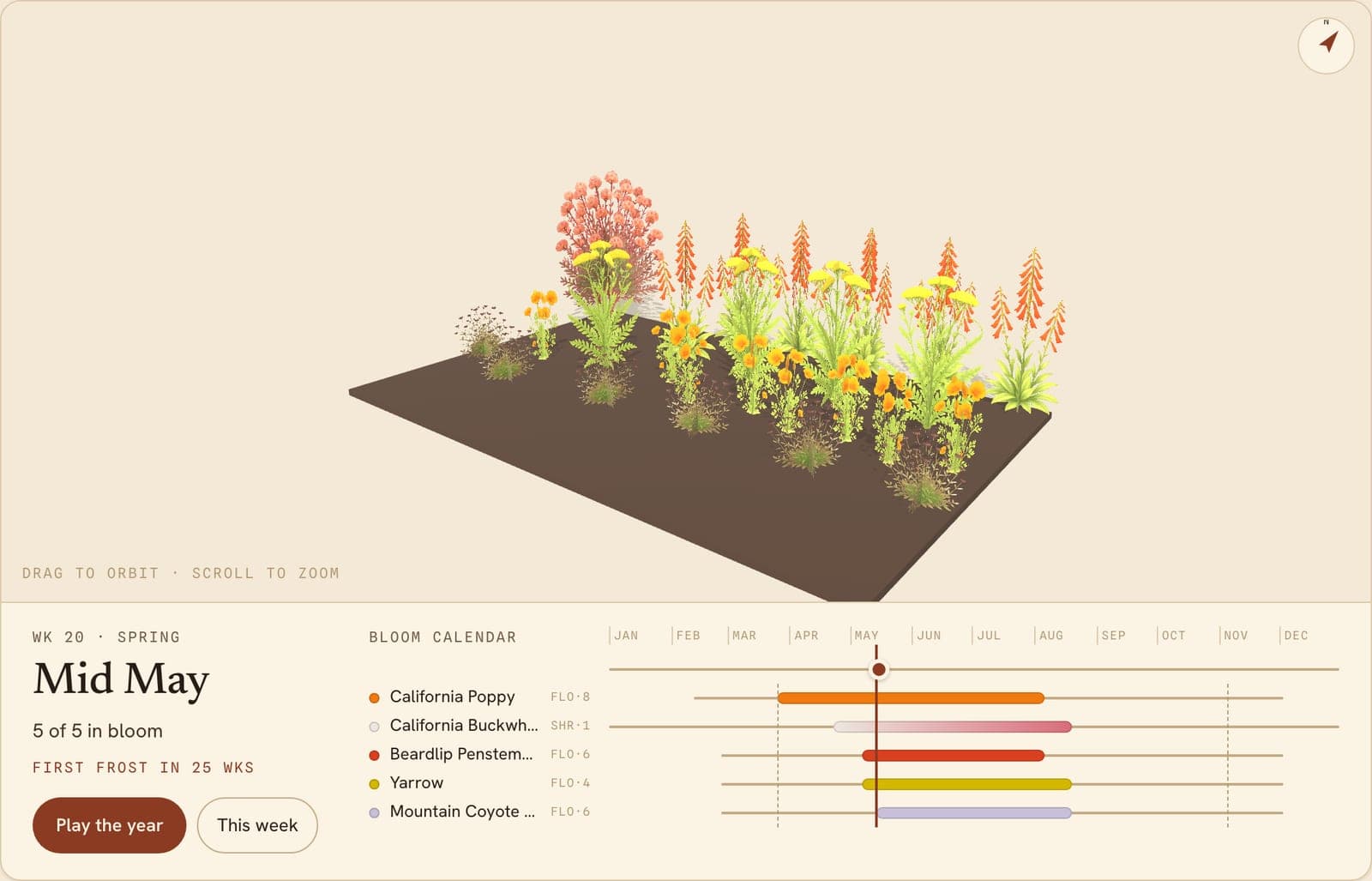 California Poppies, Penstemons, Buckwheats & More Border, a 3D preview of the planted bed