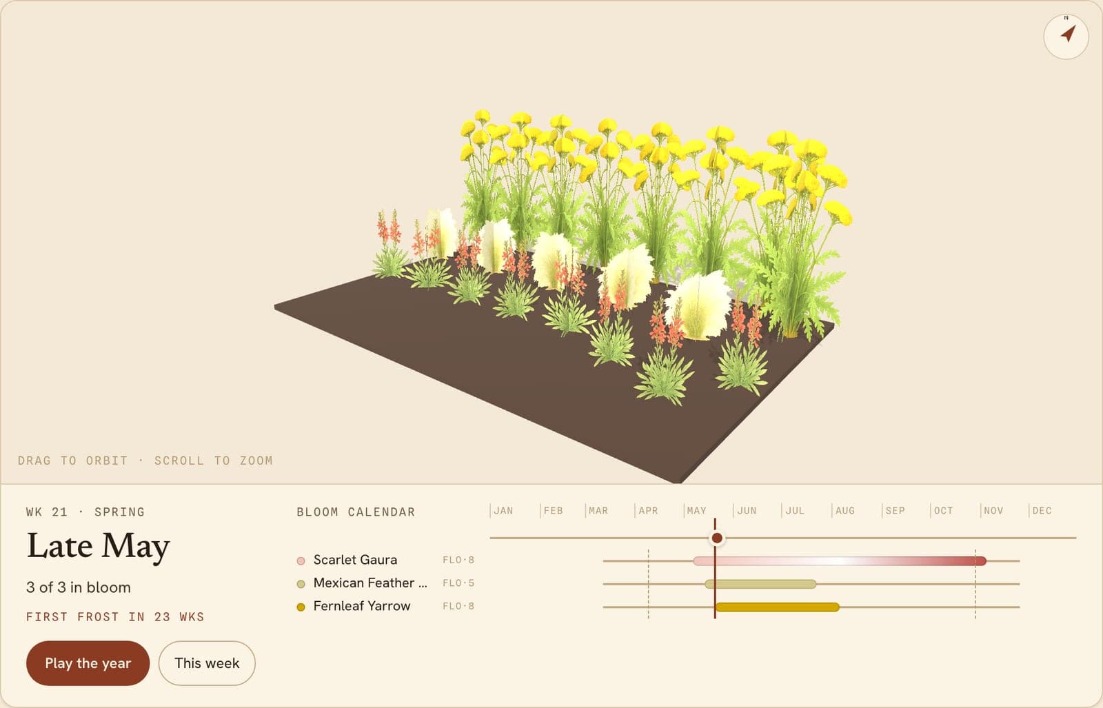 Whirling Butterflies, Needlegrasses, Yarrows Border, a 3D preview of the planted bed