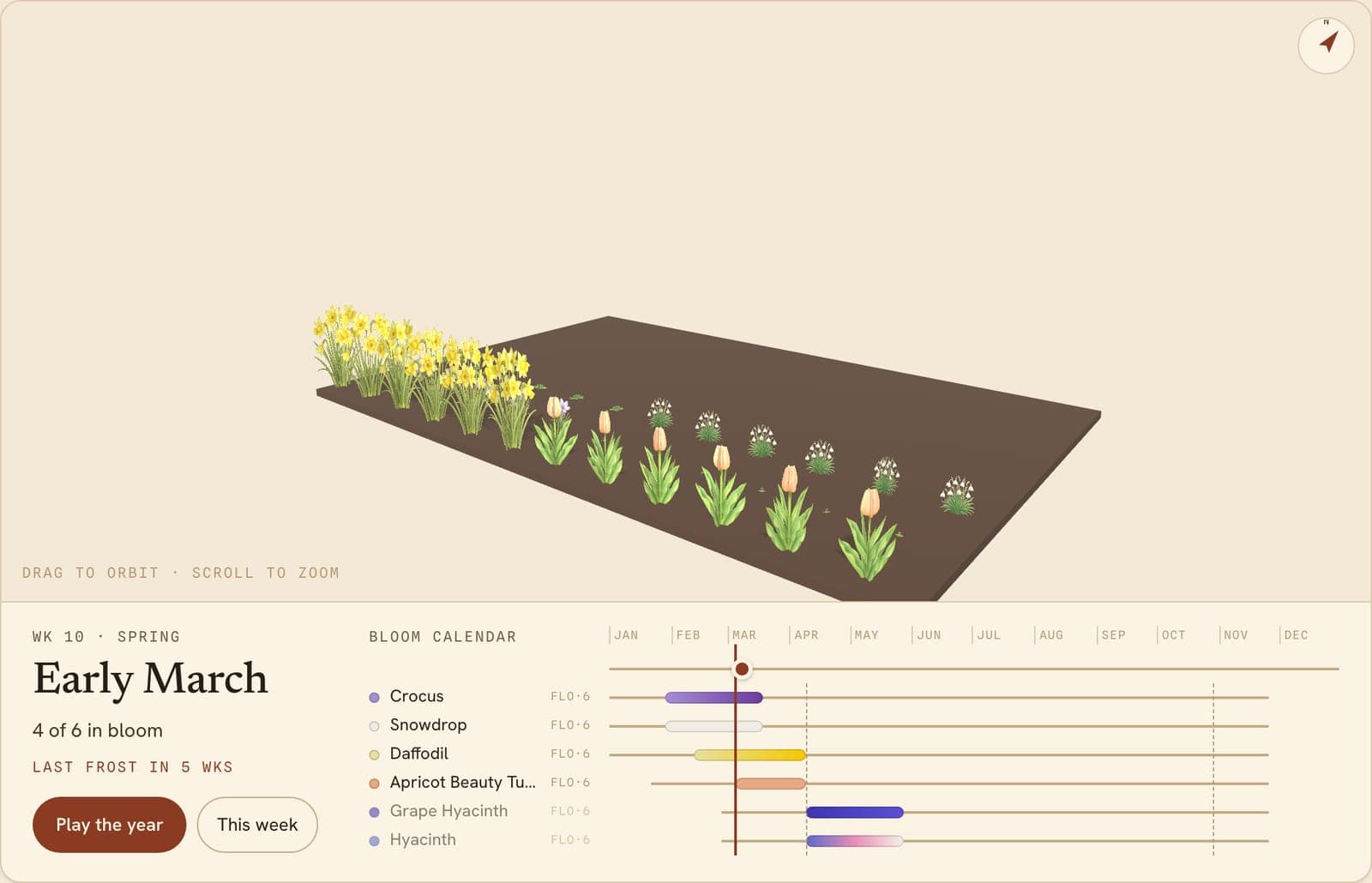 Daffodils, Tulipa, Crocuses & More Border, a 3D preview of the planted bed