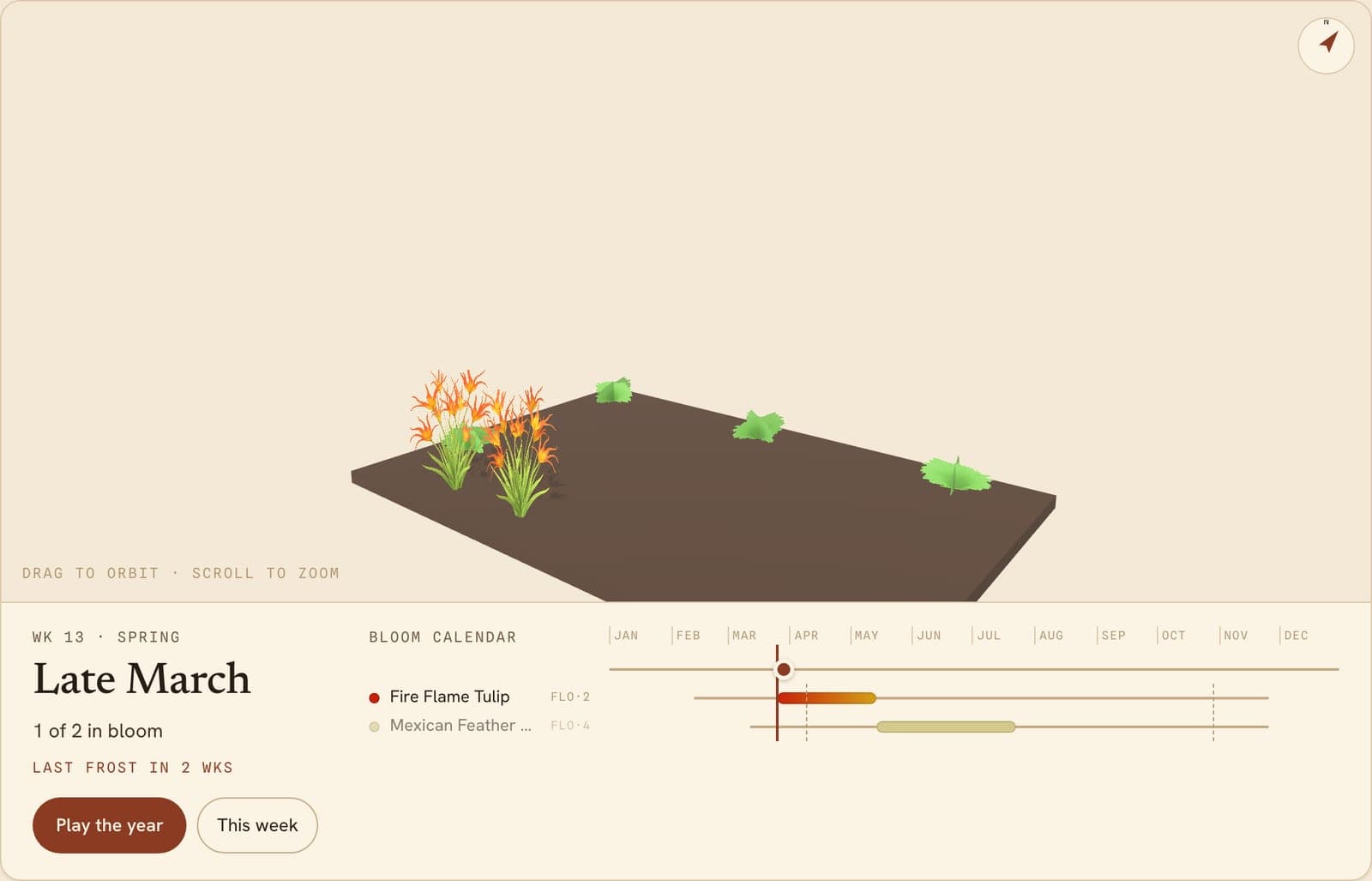 Fire Flame Tulips & Feather Grass, a 3D preview of the planted bed