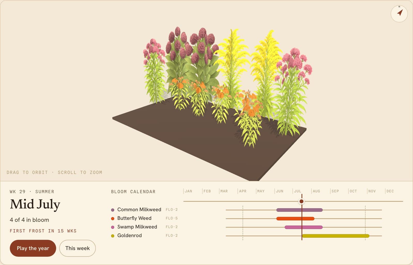Milkweed Bed for Lanternfly Defense, a 3D preview of the planted bed