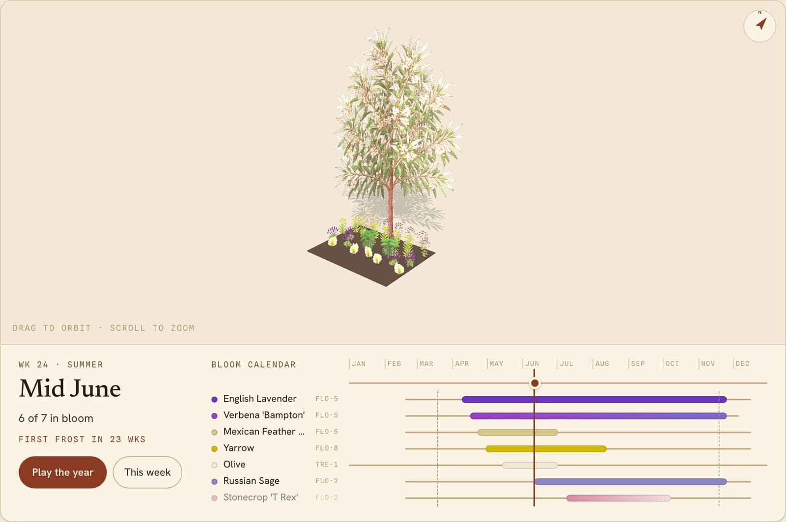 Mediterranean Gravel Garden, a 3D preview of the planted bed