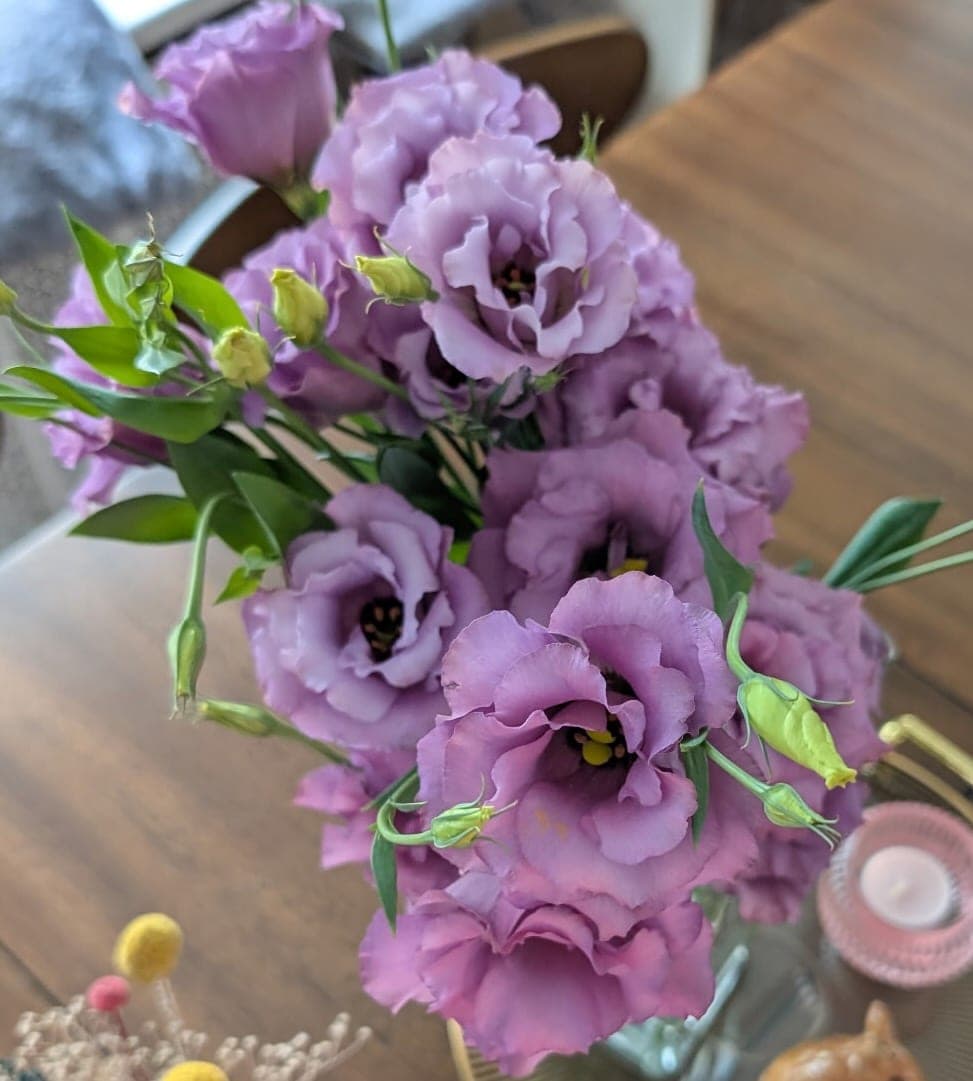 Lisianthus